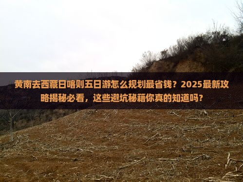 黄南去西藏日喀则五日游