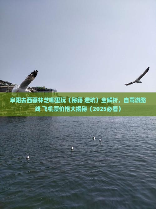 阜阳去西藏林芝哪里玩