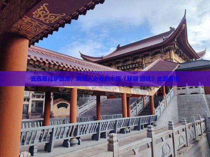 南充去西藏拉萨旅游小吃