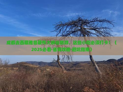成都去西藏雅鲁藏布大峡谷旅游小吃 成都去西藏雅鲁藏布大峡谷旅游小吃