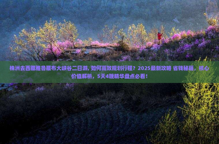 株洲去西藏雅鲁藏布大峡谷二日游