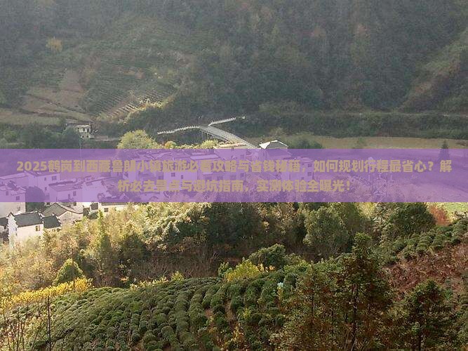 鹤岗到西藏鲁朗小镇旅游