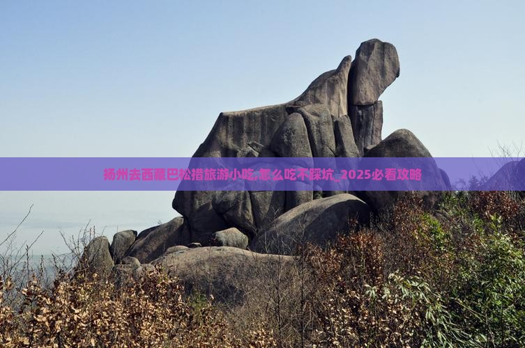 扬州去西藏巴松措旅游小吃