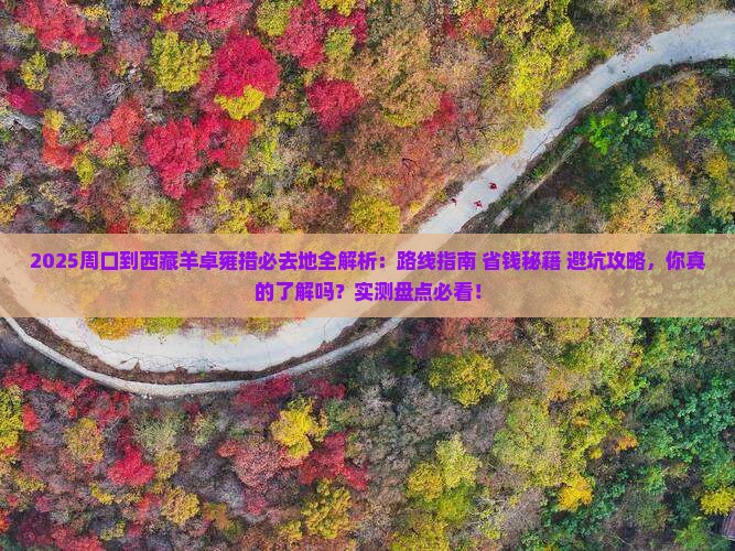 周口到西藏羊卓雍措必去地