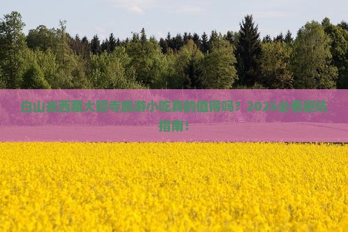 白山去西藏大昭寺旅游小吃