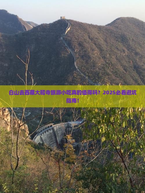白山去西藏大昭寺旅游小吃