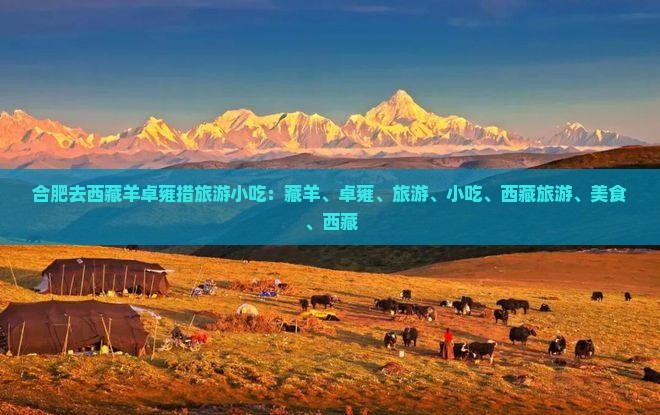合肥去西藏羊卓雍措旅游小吃