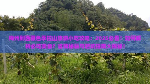 梅州到西藏色季拉山旅游小吃