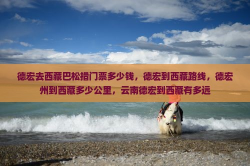 德宏去西藏巴松措门票