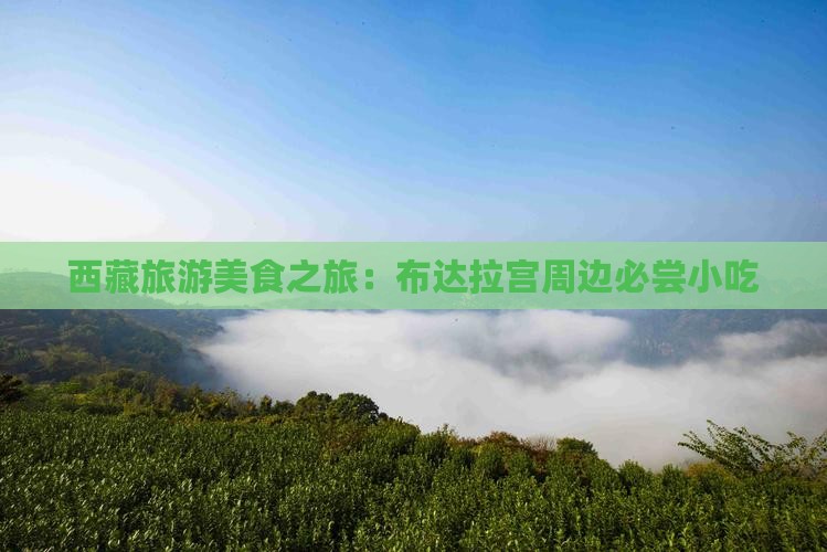 春天去西藏布达拉宫旅游小吃