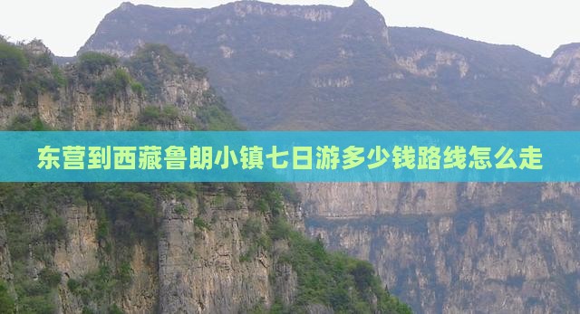 东营到西藏鲁朗小镇七日游