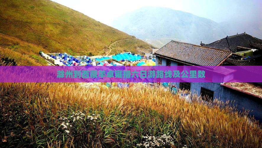 滁州到西藏羊卓雍措六日游