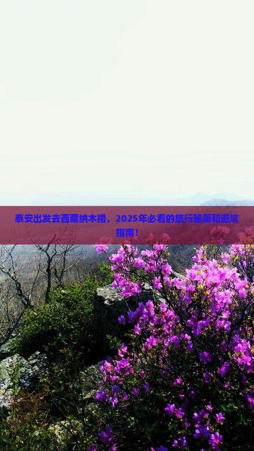 泰安去西藏纳木措旅游