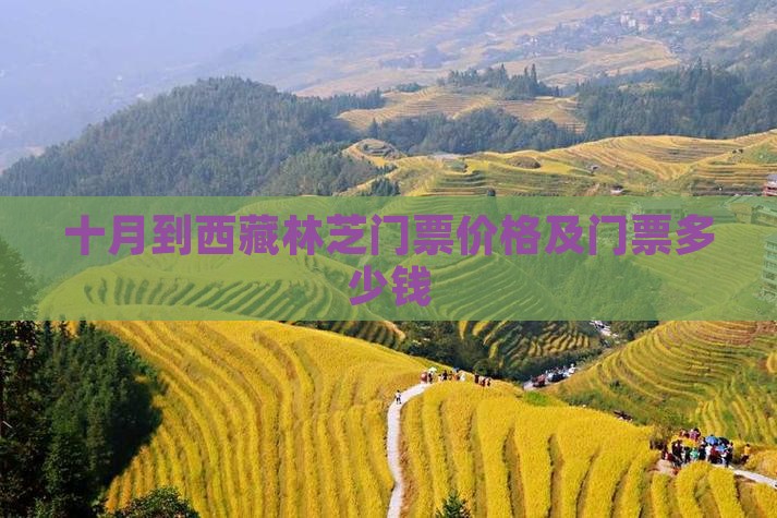 十月到西藏林芝门票