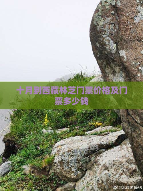十月到西藏林芝门票