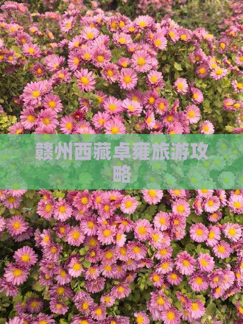 赣州到西藏羊卓雍措自由团