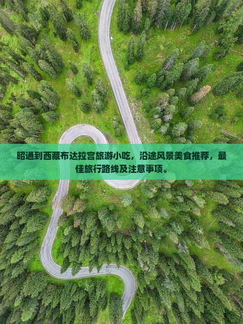 昭通到西藏布达拉宫旅游小吃