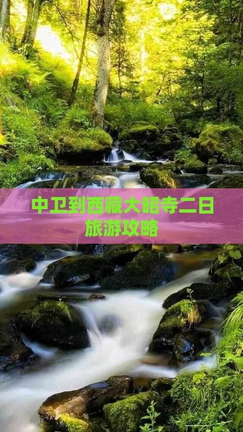 中卫到西藏大昭寺二日游