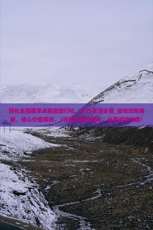 绥化去西藏羊卓雍措旅行社
