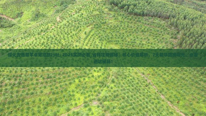 绥化去西藏羊卓雍措旅行社
