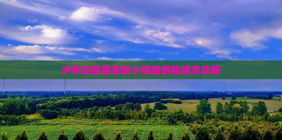 泸州去西藏鲁朗小镇旅游