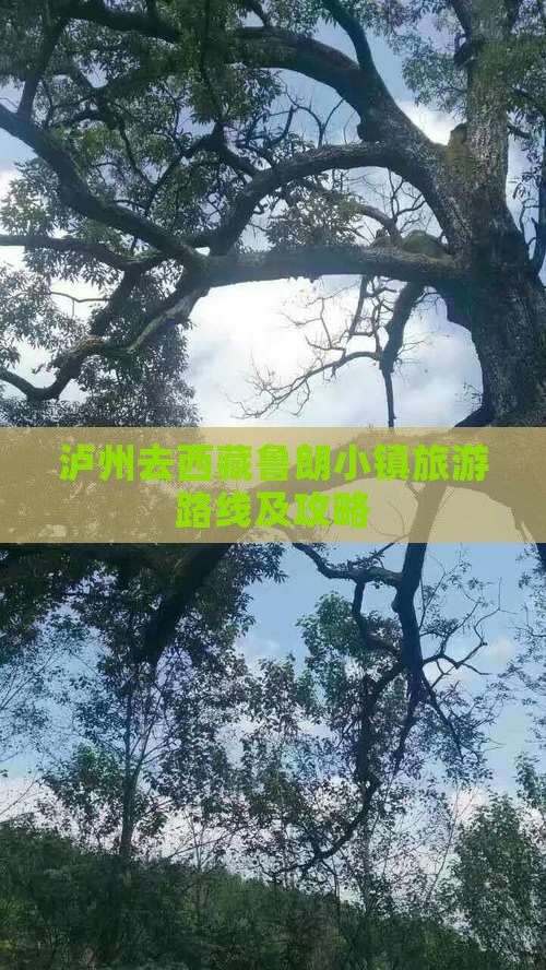 泸州去西藏鲁朗小镇旅游