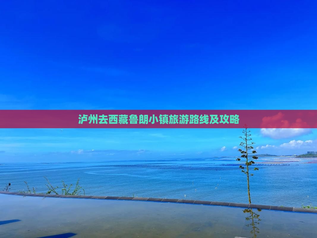 泸州去西藏鲁朗小镇旅游