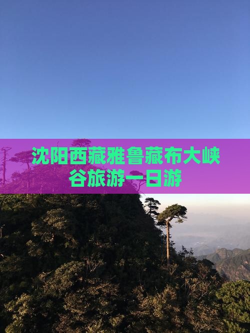 沈阳去西藏雅鲁藏布大峡谷一日