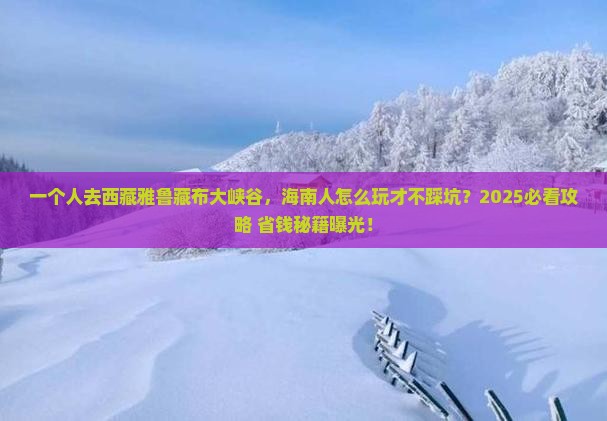 海南省直辖去西藏雅鲁藏布大峡谷个人游