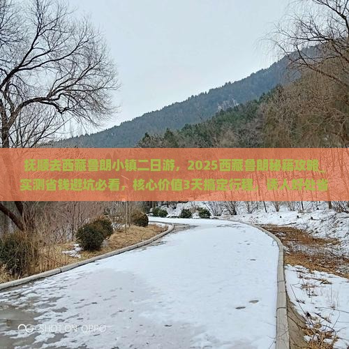 抚顺去西藏鲁朗小镇二日游