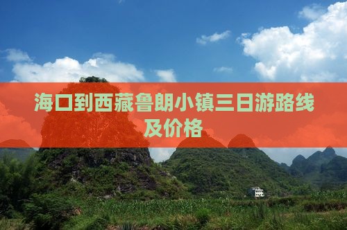 海口到西藏鲁朗小镇三日游