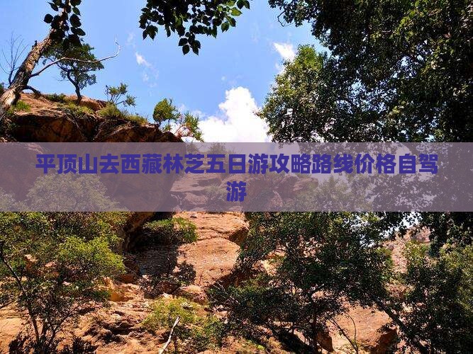 平顶山去西藏林芝五日游