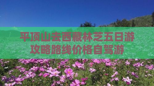 平顶山去西藏林芝五日游