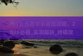 六月去西藏羊卓雍措攻略