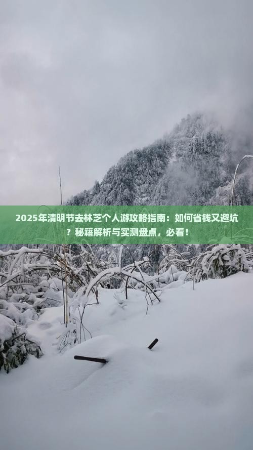 清明节去西藏林芝个人游