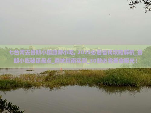 七台河去西藏鲁朗小镇旅游小吃