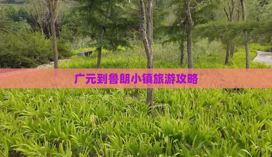 广元到西藏鲁朗小镇景点