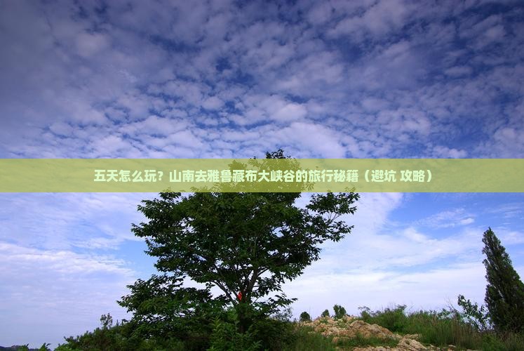 山南去西藏雅鲁藏布大峡谷五日游