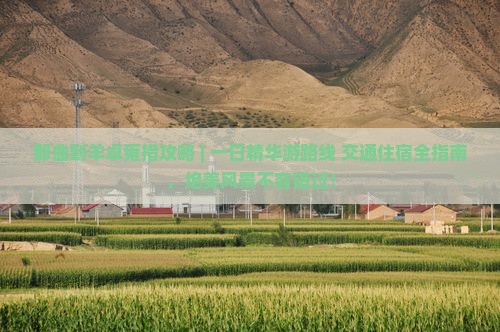 那曲到西藏羊卓雍措攻略