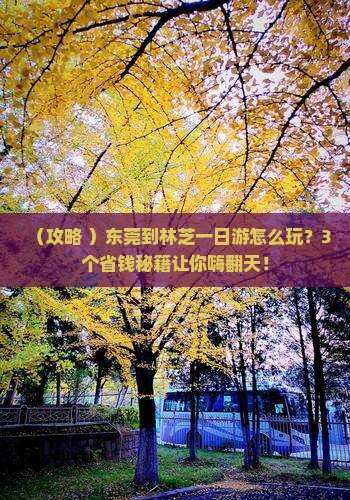 东莞到西藏林芝一日