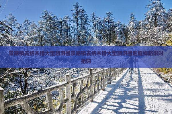 景德镇去西藏纳木措大型旅游团