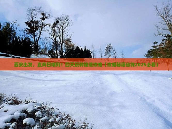 西安去西藏日喀则四日游