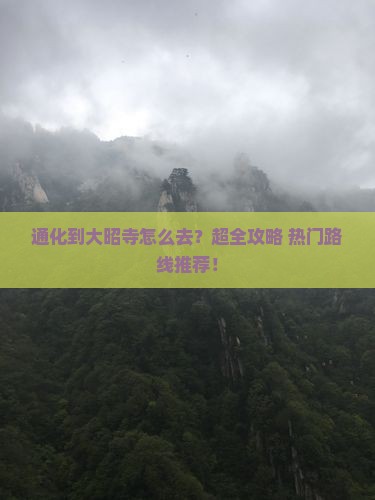 通化到西藏大昭寺旅行社