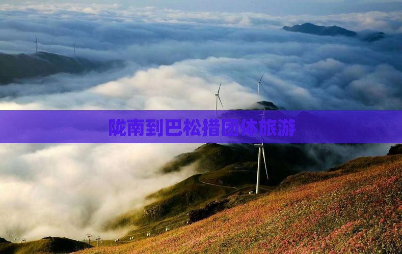 陇南到西藏巴松措团体旅游