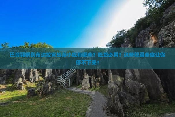 巴音郭楞到西藏布达拉宫旅游小吃