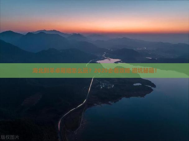 海北到西藏羊卓雍措旅行社
