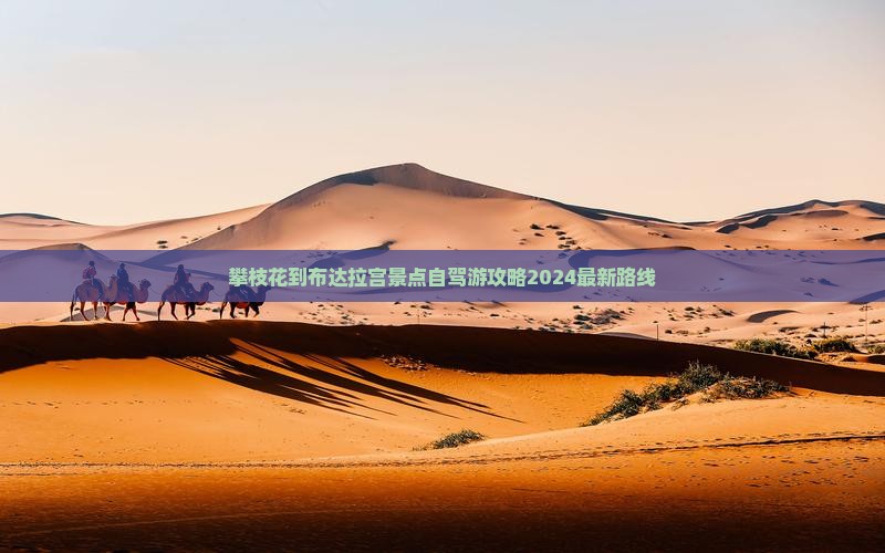 攀枝花到西藏布达拉宫景点