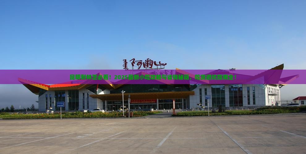 昆明去西藏林芝旅游小吃