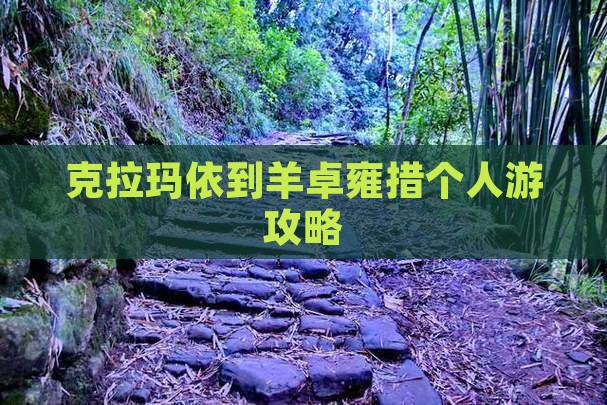 克拉玛依到西藏羊卓雍措个人游