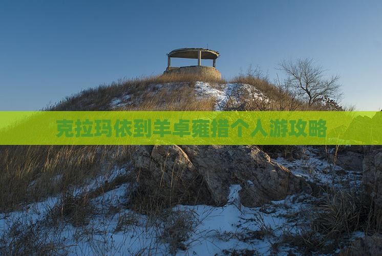 克拉玛依到西藏羊卓雍措个人游